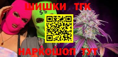 индика Жуковский