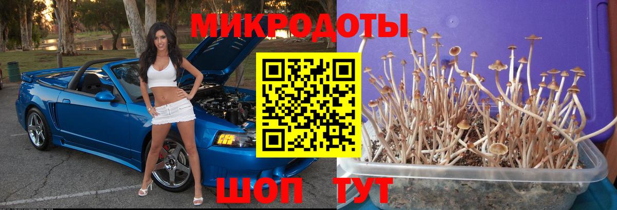 Галлюциногенные грибы Psilocybine cubensis  Вход с VPN  Псилоцибиновые грибы мухоморы  Лянтор 